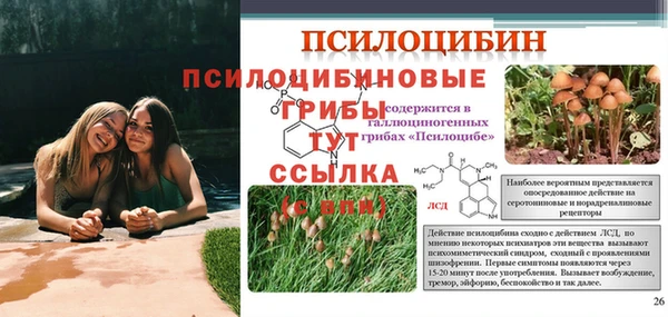винт Алзамай