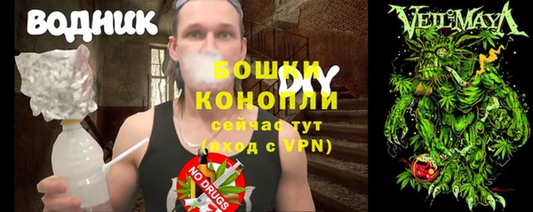 винт Алзамай