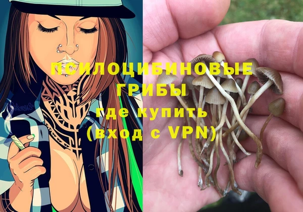 соль ск Абдулино