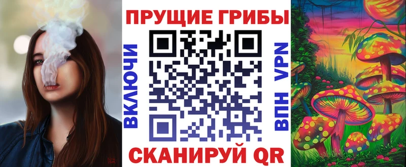 Галлюциногенные грибы MAGIC MUSHROOMS  Сухиничи 